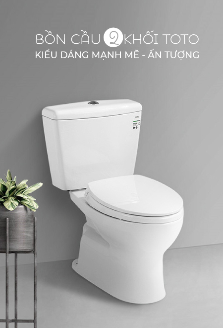 Bon cau 2 khoi TOTO