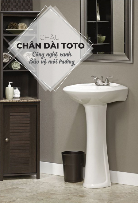 Chau rua chan dai TOTO