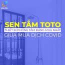 Sen tắm TOTO thiết bị phòng tắm đáng mua nhất giữa mùa dịch COVID