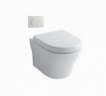 Bồn cầu toto âm tường CW162