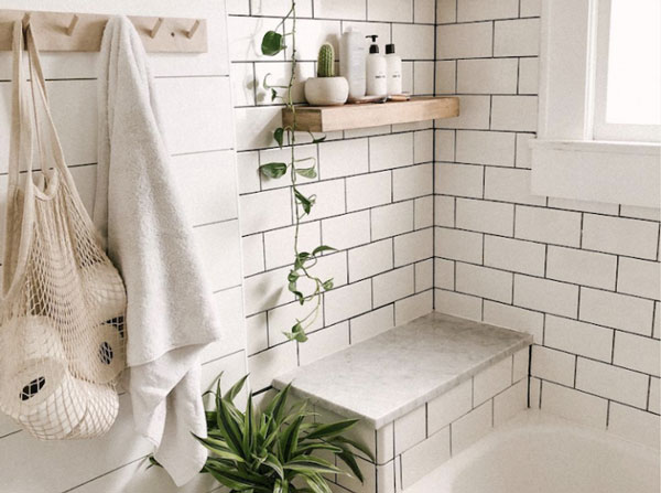 bathroom-plant-3-720x899-1-720x536-1 bathroom-plant