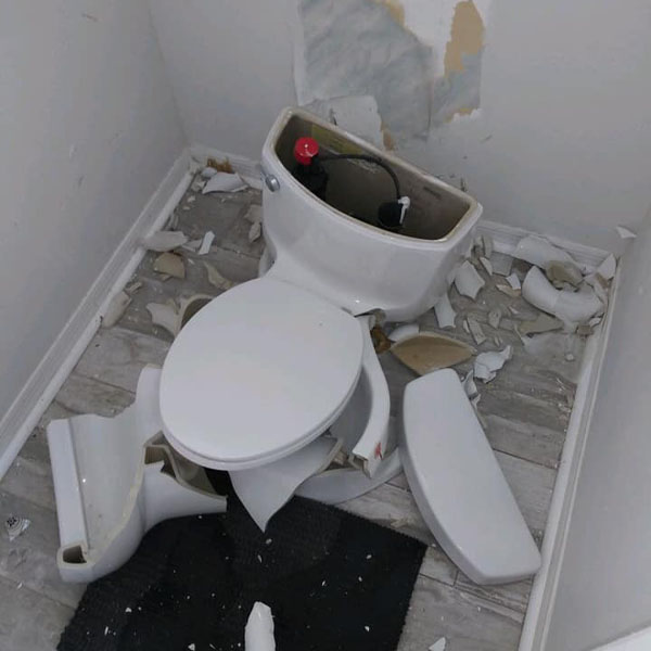 Bon cau hang gia bi vo