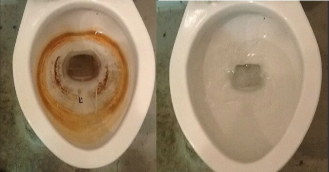 bon-cau-ovang bồn cầu ố vàng