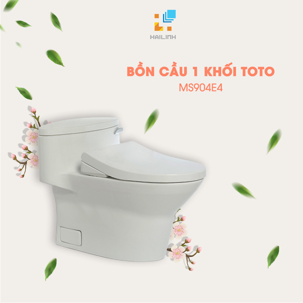 Bon cau TOTO MS904E4