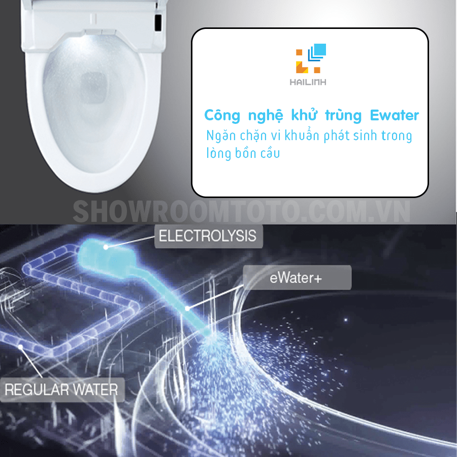 bon-cau-toto-waslet-4