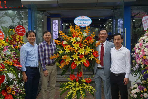 cong-ty-co-phan-viglacera