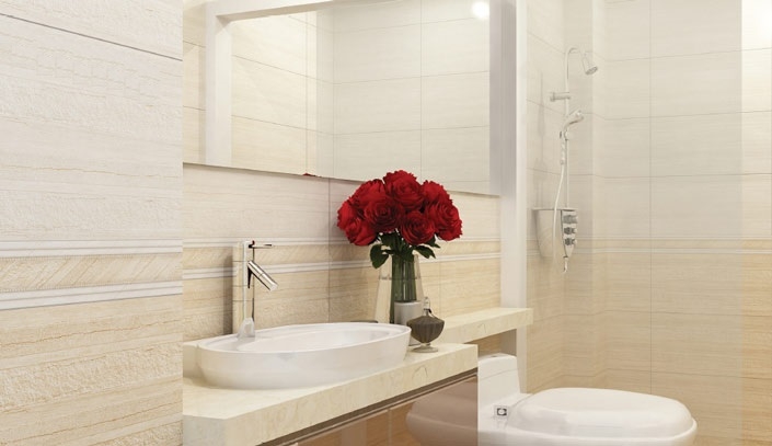 Phòng mẫu chậu rửa đặt trên bàn TOTO PJS03WE