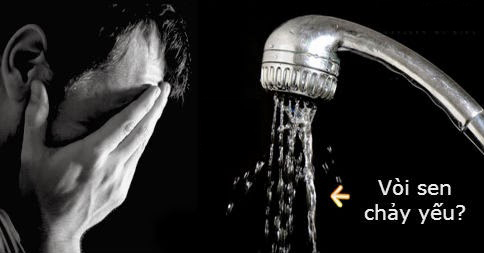 luva-vs3 voi-sen-chay-nuoc-yei