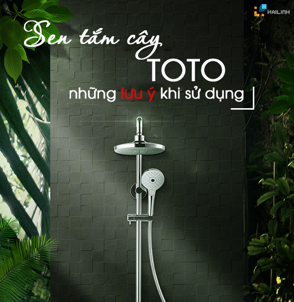 sen-tam-cay-toto-1 sen tắm cây và những lưu ý khi sử dụng