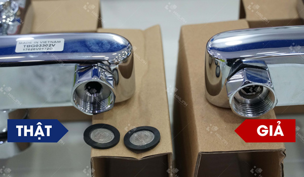 Sen tam TOTO that gia anh 9