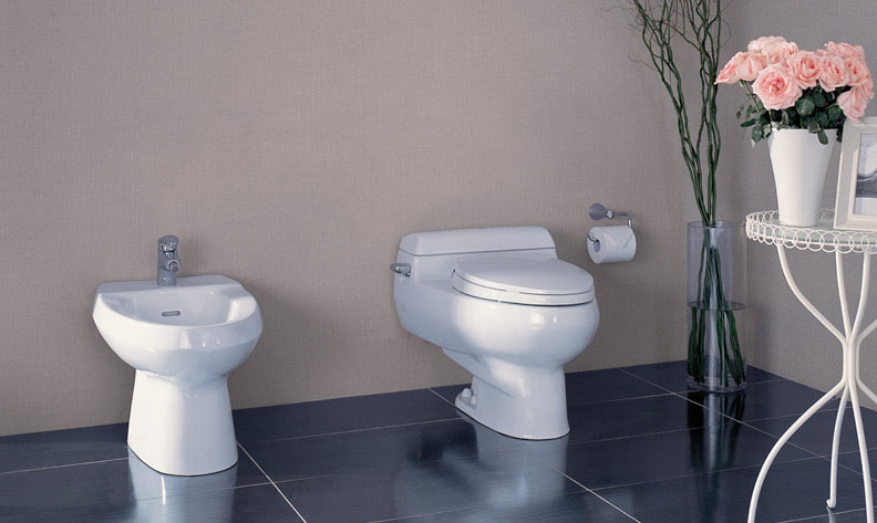 thiet bi ve sinh toto