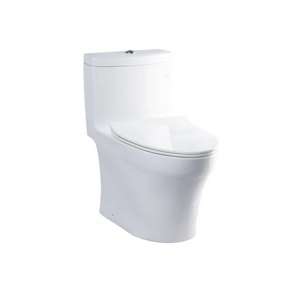 Bồn cầu một khối TOTO MS889DRT8