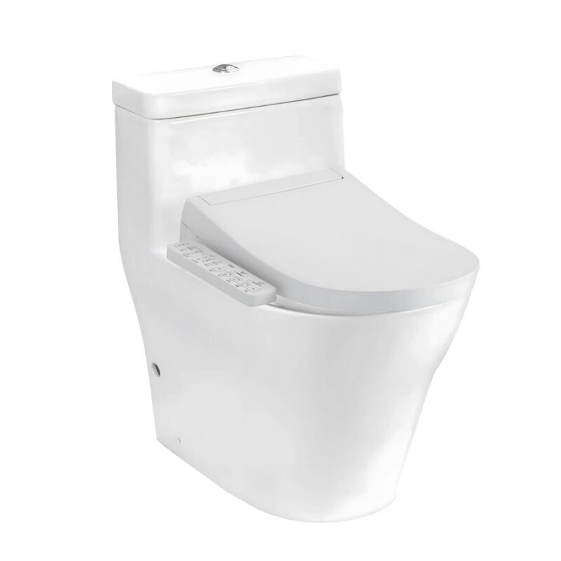 Ảnh Bồn cầu thông minh TOTO CW166RB#XW 1