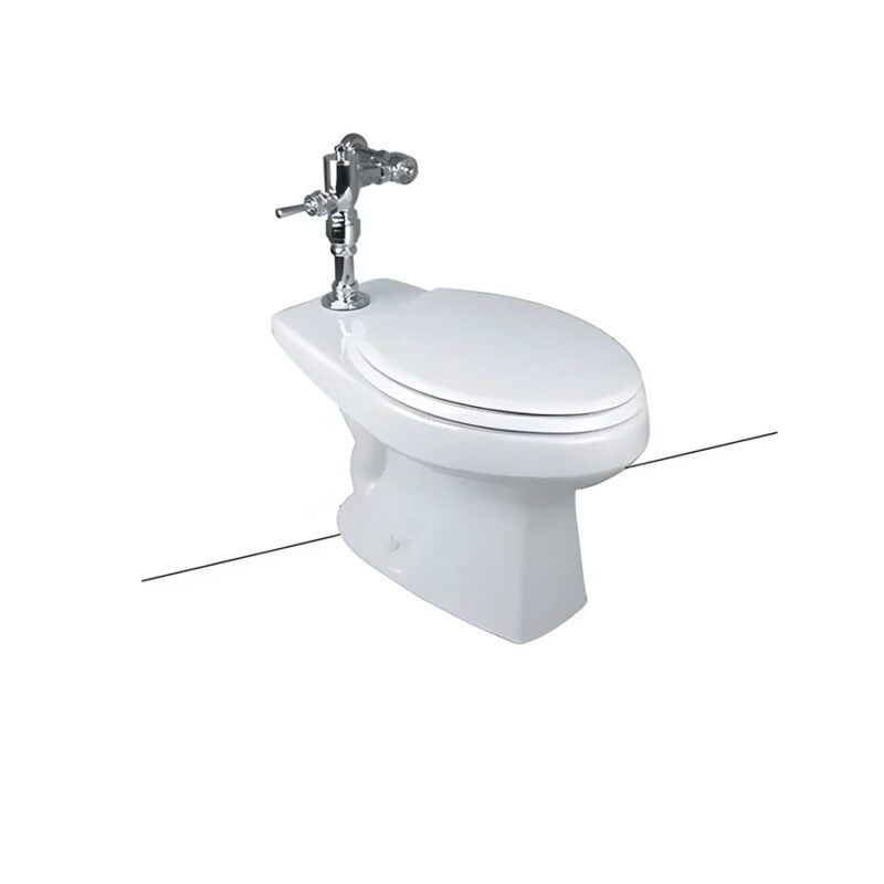 Ảnh Bồn cầu thông minh TOTO CW550#XW/TC393VS#W/HTS153S/TV150NSV6J 1